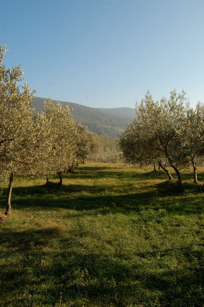 Sostenibilità