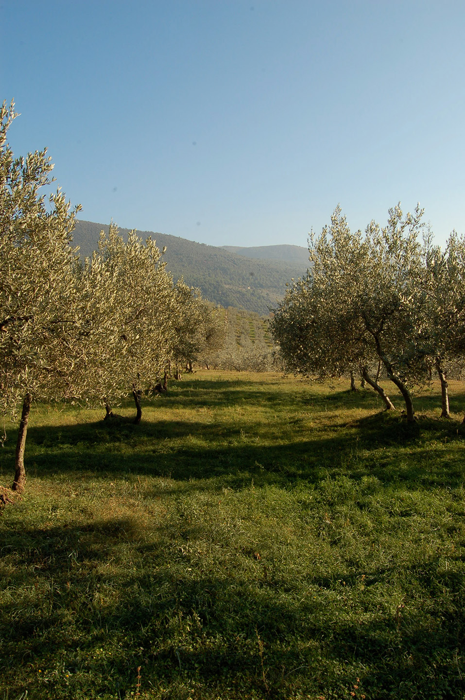 In the field