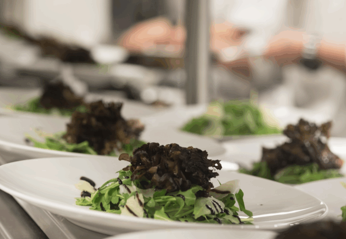 Raw Mushroom Salad