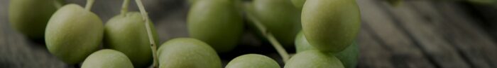 La variété d’olive